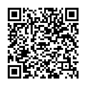由于冰冻了下里面的果肉变得也比平时好吃了许多二维码生成