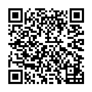 由于前期的宣传还有我们酒店的硬件设施堪称一流二维码生成