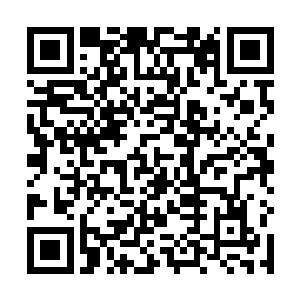 由于剑尘和夏家老家主战斗的地方距离这里还有些距离二维码生成