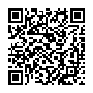 由于受损伤面积较大并很可能会产生继发反应性改变二维码生成