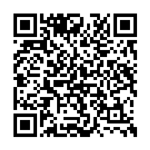 由于她刚刚对朱翎雨的举动也叫一些人看红了眼二维码生成