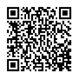 由于对高寒气候条件下的战争准备不足和战术呆板滞后等等因素二维码生成