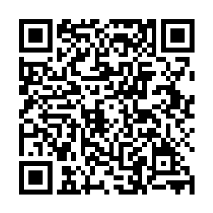 由于巨象星盗团的主力舰队已经被昊天率领的舰队全歼二维码生成