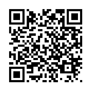 由于我是转轮殿气数承认的代理殿主二维码生成