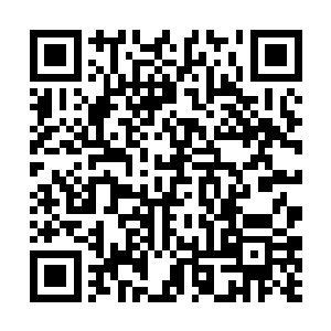 由于星兽肉市场受到星光冒险团和斧头佣兵团的控制二维码生成