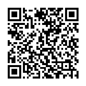 由于此刻易鹏飞体内的血液几乎被完全换了换了一遍二维码生成