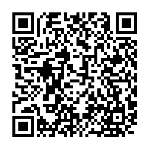 由于沙盗和冒险者中的神级强者几乎都在之前的战斗中被楚旬等人所杀二维码生成