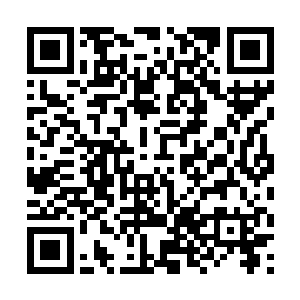 由于熊孩子等人要将这些城市之中的百姓全部转移走二维码生成