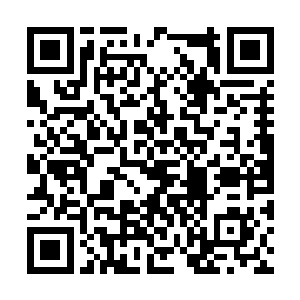 由于生病期间得到秋语千小姐和田秘书的细心照顾二维码生成