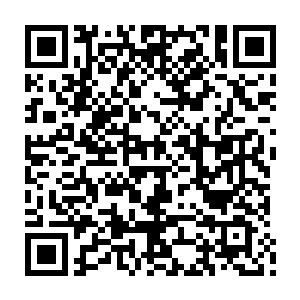 由于益杨县检察院的纵火案和杀人案给初出江湖的侯卫东留下了无法抹灭的印象二维码生成