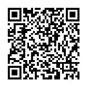 由于胥尔升已经明白了蕊蕊就是小珠珠的事情之后二维码生成