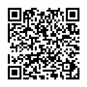 由于荣耀至死和电台司令两支乐队居住在这一层楼二维码生成
