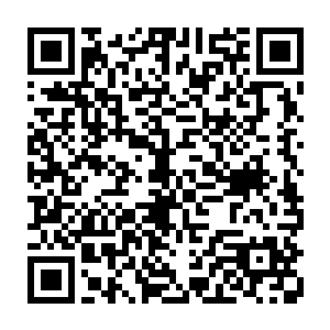 由于许德拉渡劫的时候强烈的劫雷之力已经将这个地方的禁制打开了一个缺口二维码生成