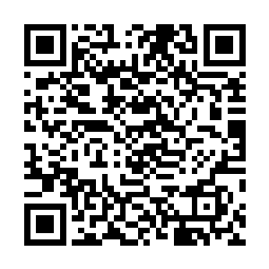 由于这一把lcd这一方的所有人头全部都在陈诚一个人身上二维码生成