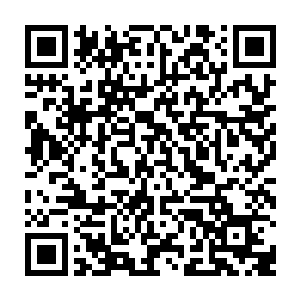 由于这个天域的通道只要有中位神实力就可以通过去这一次用不着使用破禁珠了二维码生成