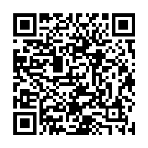由于这个由杀戮狂魔构成的职业有着杀人数的硬性标准二维码生成