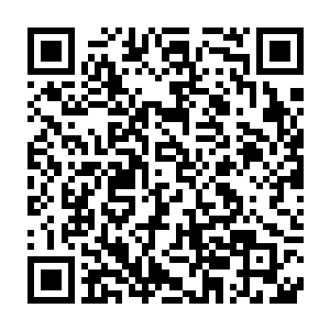由于这些妖兽异形所寄生的妖族大多都是来自于镇妖塔中的金之世界二维码生成