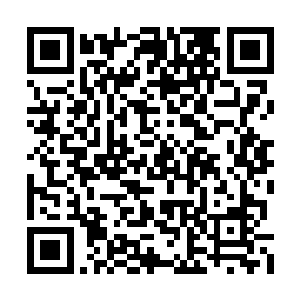 由于龙战顶着一脸的冰霜也没有人再来拉凌菲了二维码生成