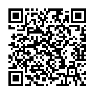 由他撰写剧本的多部作品都成为了名垂青史的艺术佳作二维码生成