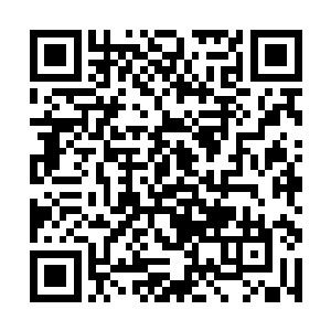 由他明日上书弹劾郭药师在北地未稳之时便大肆扩军二维码生成