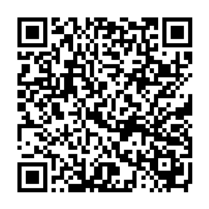 由初级恢复之躯进化为中级恢复之躯需要放生16条蚯蚓或者同等数量的湾虾二维码生成