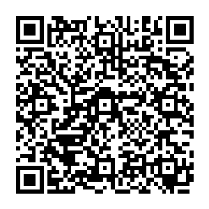由千门十二位德高望重的长老联合做出裁决的……这十二位长老都是由千门中德行最高二维码生成
