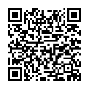 由单一的集体xing质的乡镇企业变成了混合制企业二维码生成