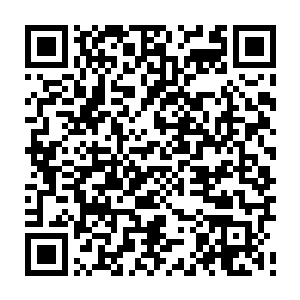 由国外房地产巨头开发的林肯公园身处这座皇气缭绕的城市就显得有些低调温顺二维码生成