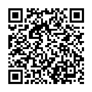 由天地自然形成的龙族第一位祖先……貌似就是这幅样子二维码生成