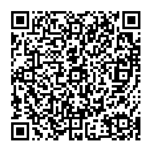 由州和城一级的地方长官和机构自行根据地方的特点情况决定还要添加一些什么东西作为战略储备二维码生成