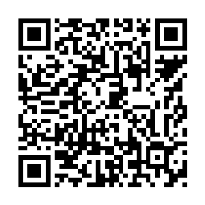 由巴黎某位著名裁缝大师亲手制作的白色连衣裙二维码生成