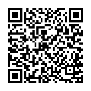 由此可以想见当日那惨烈场景给他带来的震撼和恐惧二维码生成