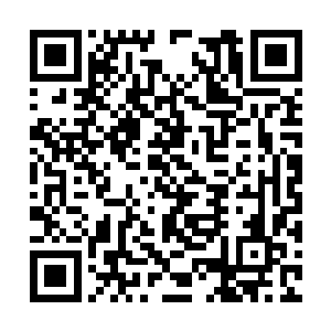 由此可以想象此时黄轩心中的情绪有多么的复杂了二维码生成