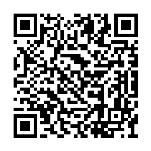 由此可知……只要有你存在于他的攻击范围之内二维码生成