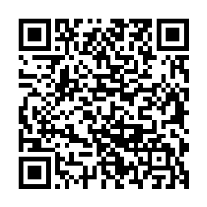 由此可见仇家对镜海这座南方经济城市的控制力有多么的强悍二维码生成