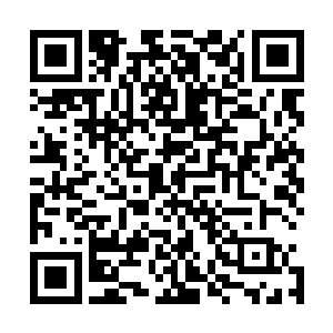 由此推论出宠爱弟弟的皇帝依然想给荣郡王一个肥沃的封地二维码生成