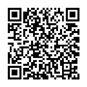 由混沌钟之力所凝聚出来的钟型光罩也猛地一暗二维码生成