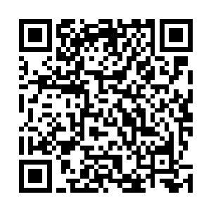 由皇子前来接待这种礼遇也只有各国的王爷皇子才会有的二维码生成