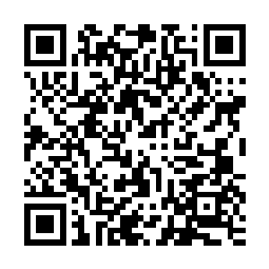 由皇家马德里主席大选而导致的转会皇马传闻风波应该就结束了二维码生成