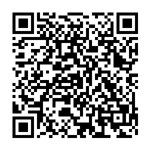 由联邦近百名最精锐的王牌检察官和精英调查员组成的独立检察组二维码生成
