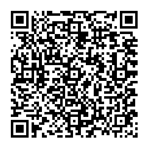 由自己在中国的公司负责为詹姆斯麦卡洛过去这些年的电影进行中国范围内的dvd和录像带的发行与销售二维码生成