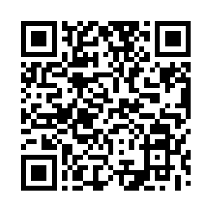 由茂盛的枝叶凭空构建出一方不大的二维码生成