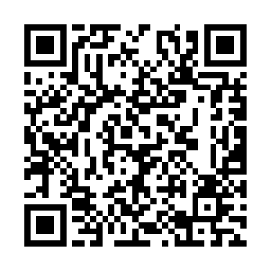 由谢安安和江少阳亲手打磨出来的数百套晶铠之后二维码生成