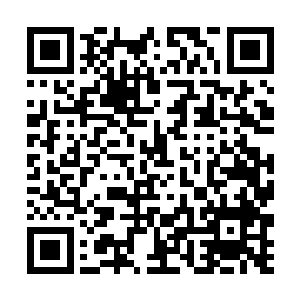 由那名实力达到四转天空圣师的红发老者对上了啸天二维码生成