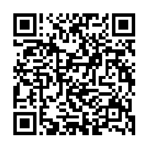由长辈留下來的那一丝力量或者是元神之力将会显化而出二维码生成
