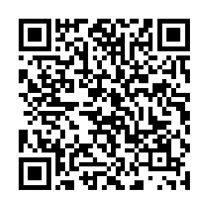 由阎家派出的十几名结丹期修士和近百名筑基期修士二维码生成