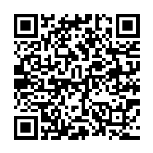 由阿克琉蒂斯他们组建的精英舰队作为迎击黑暗帝国的尖刀二维码生成