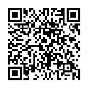 由鬼长老和轩辕长老陪着萧长老率领四派精锐弟子前去驰援二维码生成