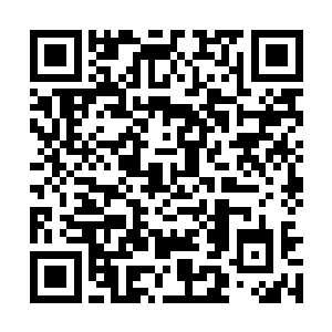 由a12二百二十二号选手艾丽卡对阵b12二号选手千面二维码生成