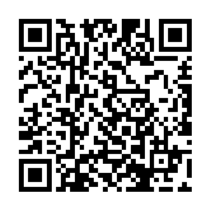 电子书下载txt免费下载全集完结没想到却是下手晚了二维码生成